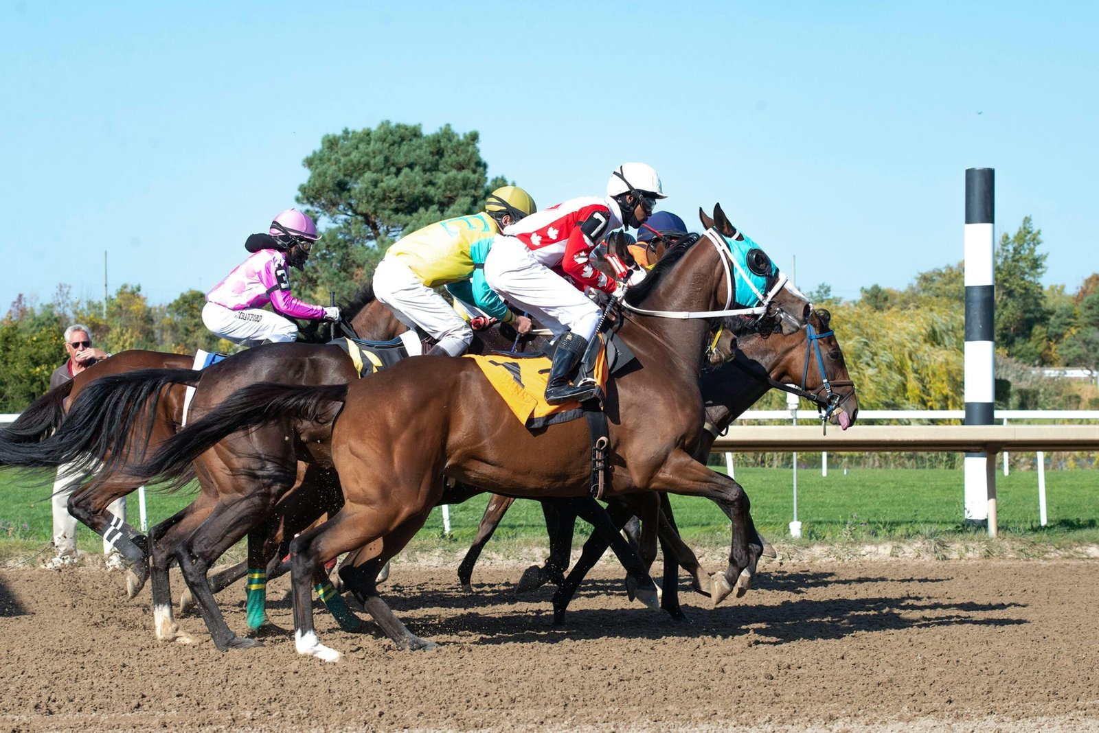 Futbol Dışı Sporlar Bahis